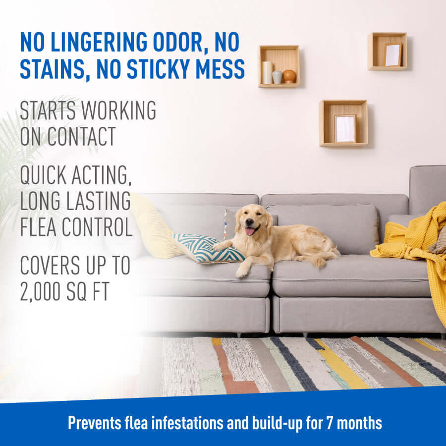 Adams Plus Flea & Tick Carpet Spray, For Indoor Use 16oz.