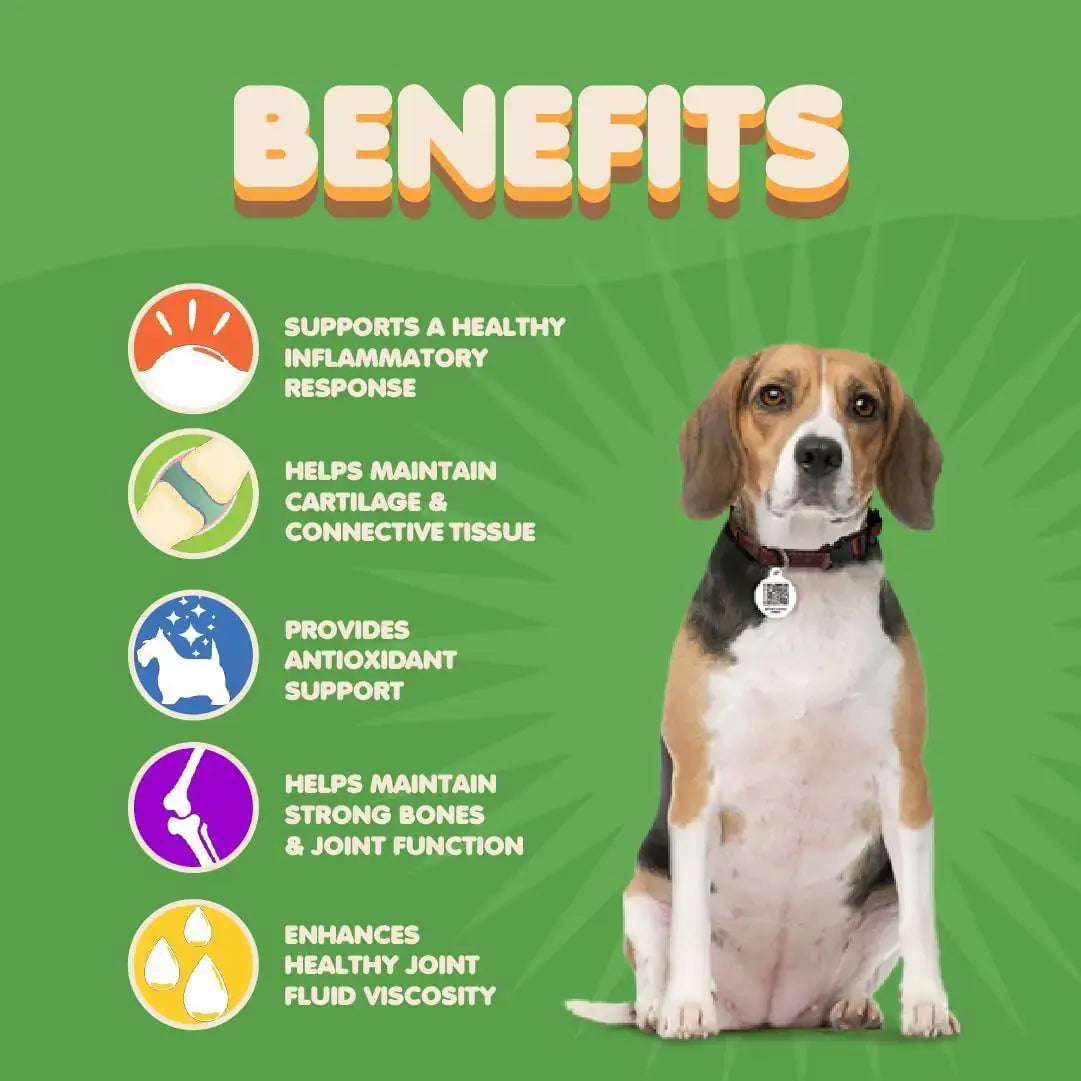 Advanced Hip & Joint Support for Dogs - Glucosamine, Chondroitin, MSM & Turmeric