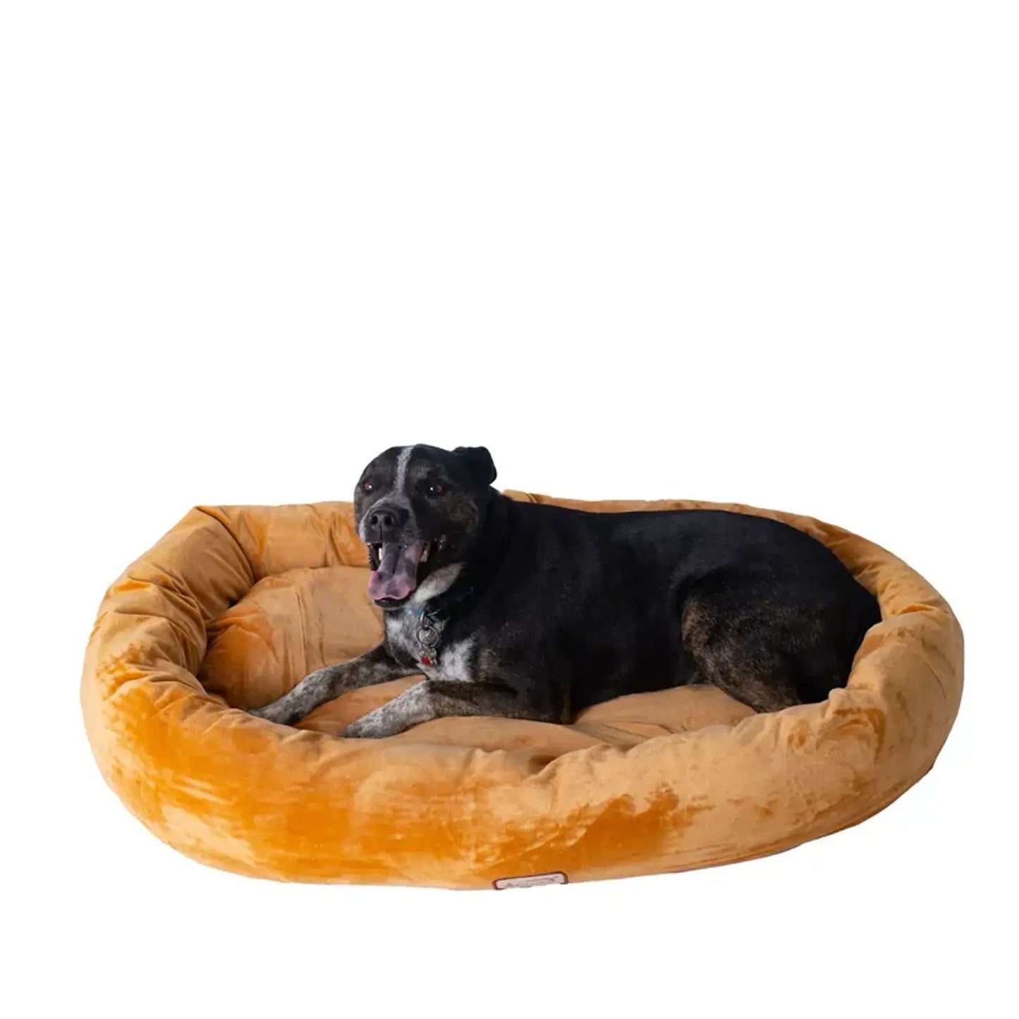 Armarkat Ultra-Soft Bolstered Pet Bed - Plush Velvet Comfort S/M/L