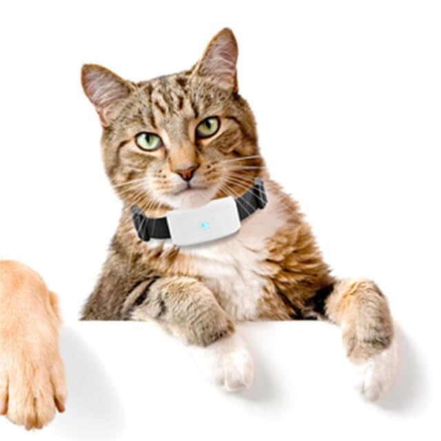 Advanced Pet GPS Tracker - Real-Time Location Monitoring with Waterproof Design