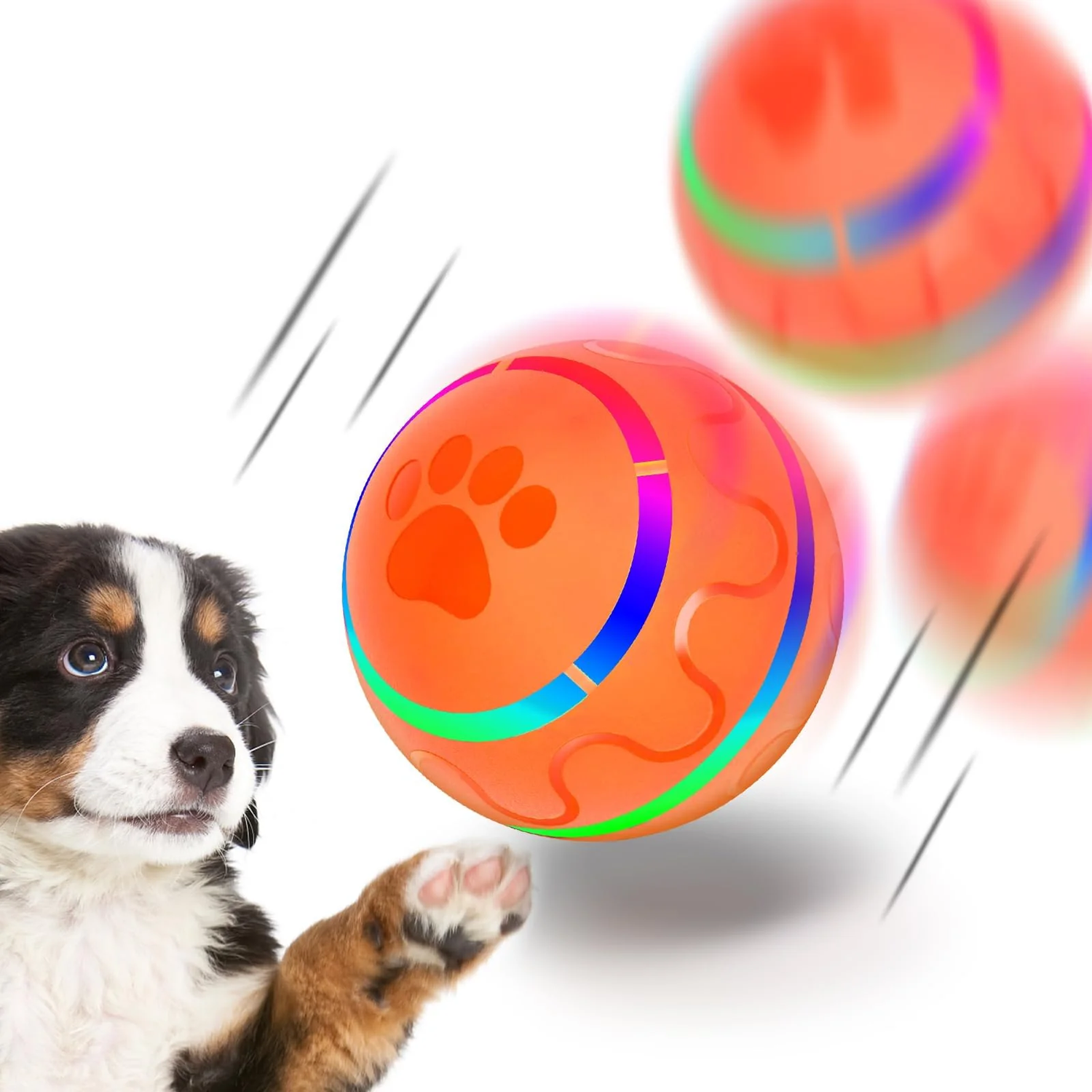 Dog Toys