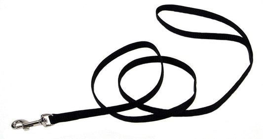 Lifestyle image of black nylon dog leash in use