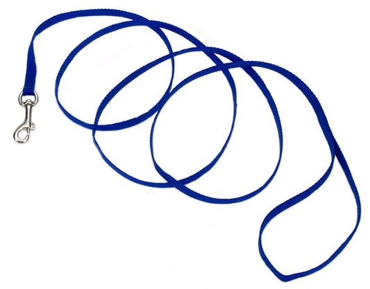 Coastal Single-Ply Nylon Dog Leash Blue 3/8 In X 6 ft