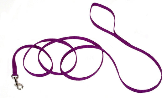 Coastal Single-Ply Nylon Dog Leash Purple 3/8 In X 6 ft