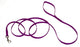 Coastal Single-Ply Nylon Dog Leash Purple 3/8 In X 6 ft