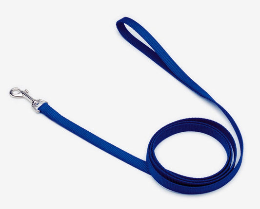 Coastal Single-Ply Nylon Dog Leash Blue 5/8 In X 4 ft