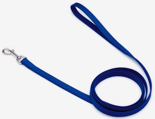 Lifestyle image of blue nylon dog leash in use