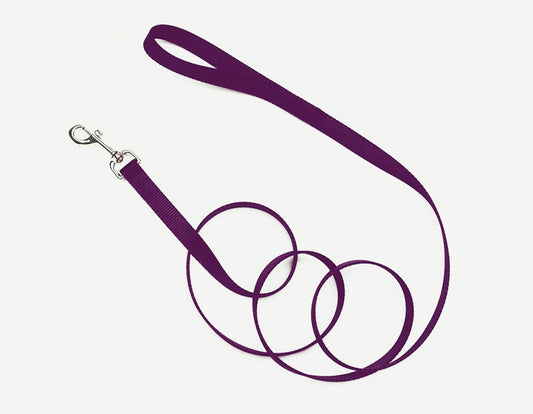 Coastal Single-Ply Nylon Dog Leash Purple 1 In X 6 ft