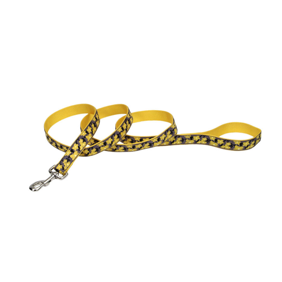 Yellow dog leash