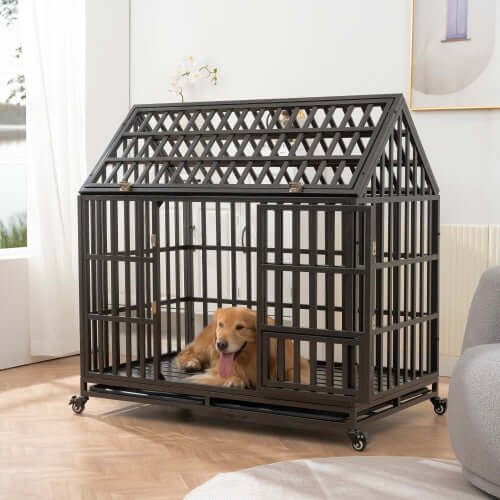 Premium heavy duty dog kennel with windows, housing a happy dog, designed for indoor use and comfort.