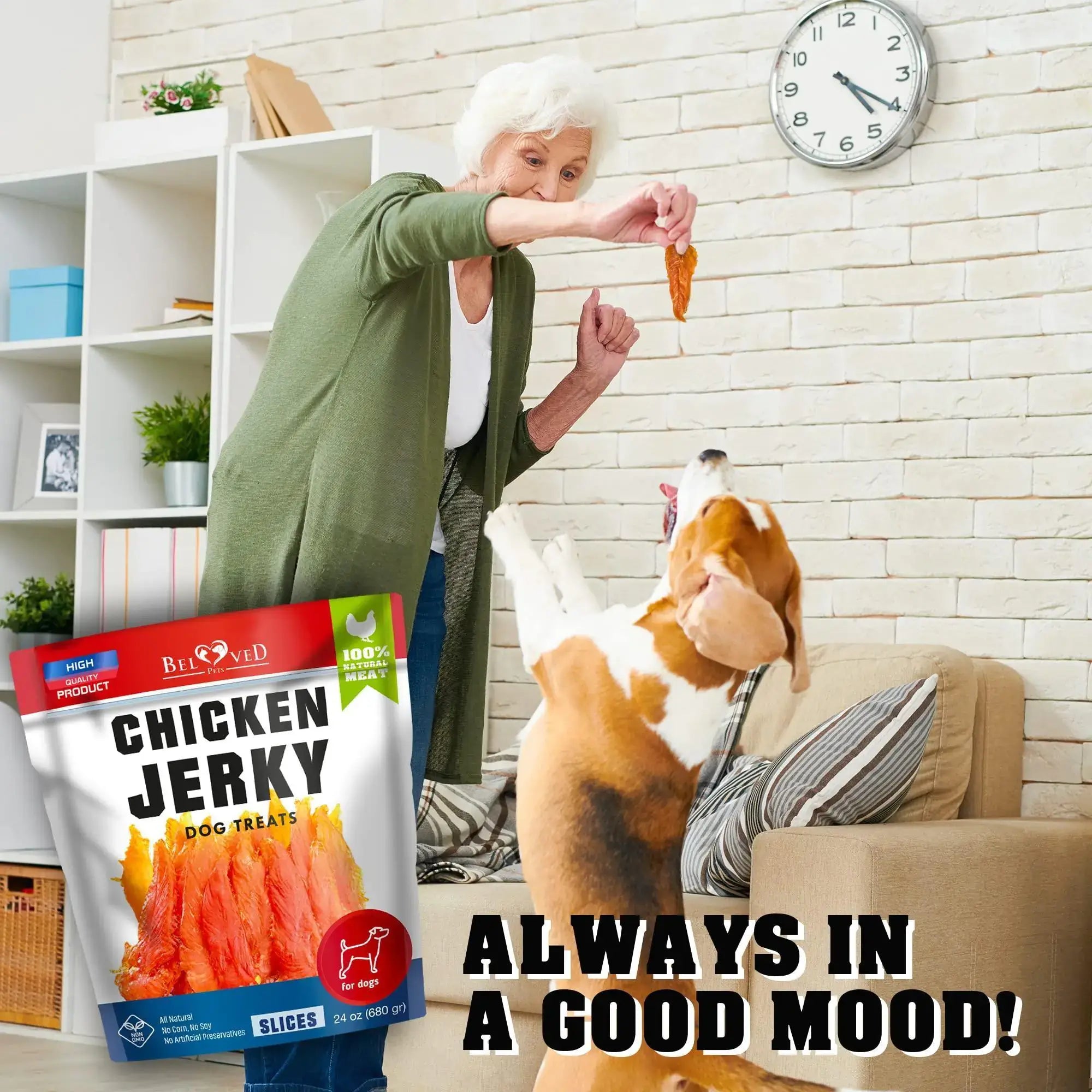 Senior woman rewarding a beagle with organic chicken jerky dog treats in a cozy living room.