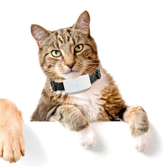 Advanced Pet GPS Tracker - Real-Time Location Monitoring with Waterproof Design