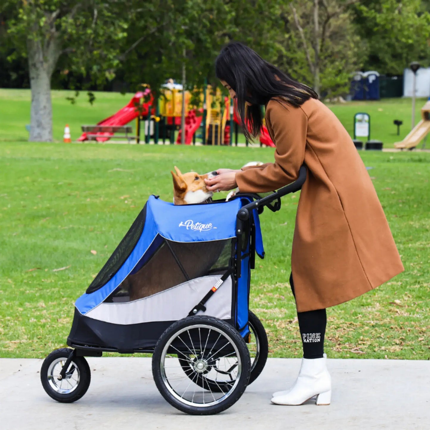 Adventure Awaits - Trailblazer Pet Jogger