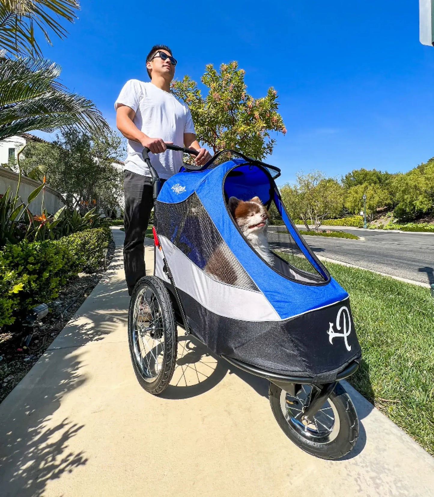Adventure Awaits - Trailblazer Pet Jogger
