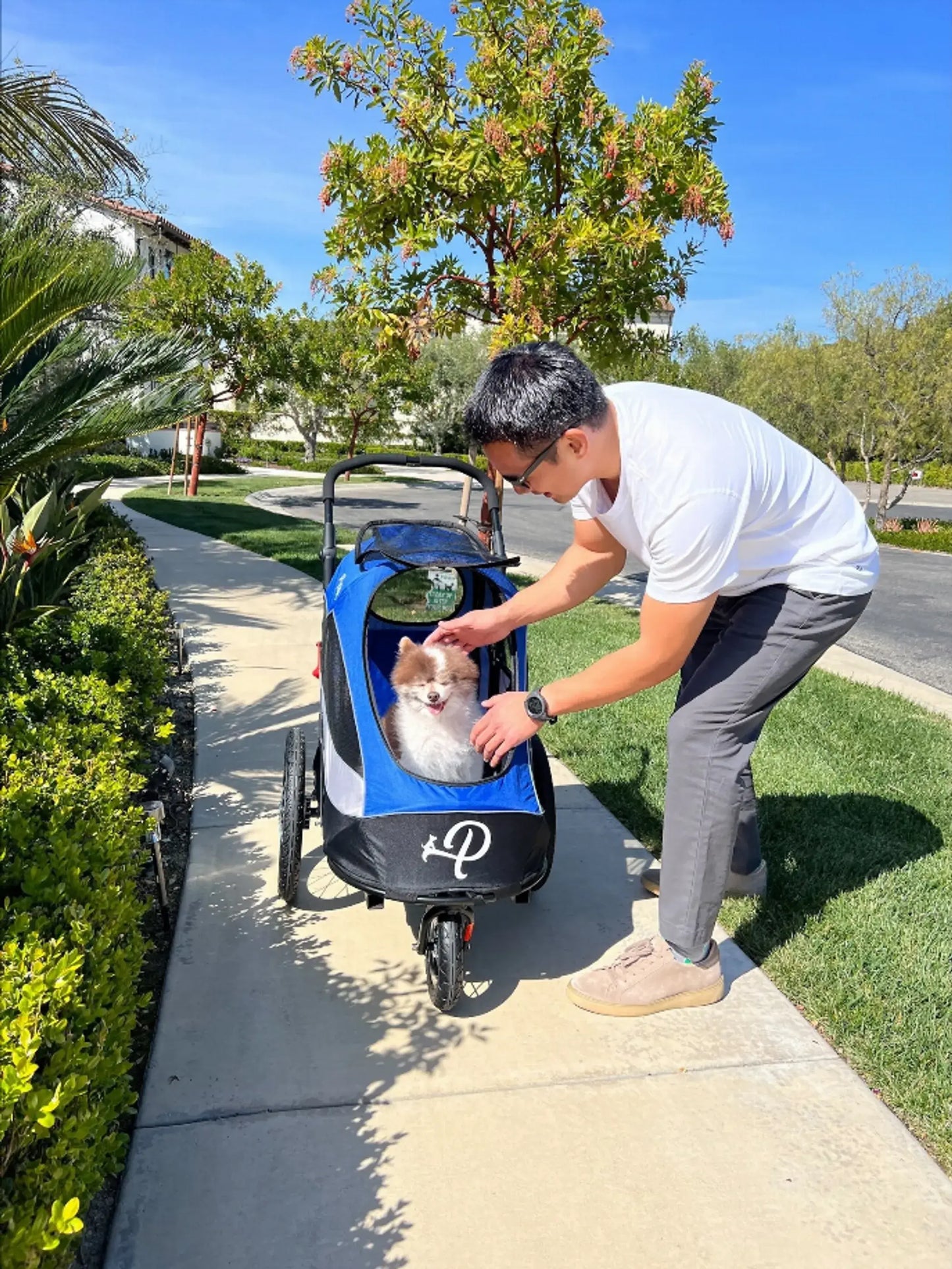 Adventure Awaits - Trailblazer Pet Jogger