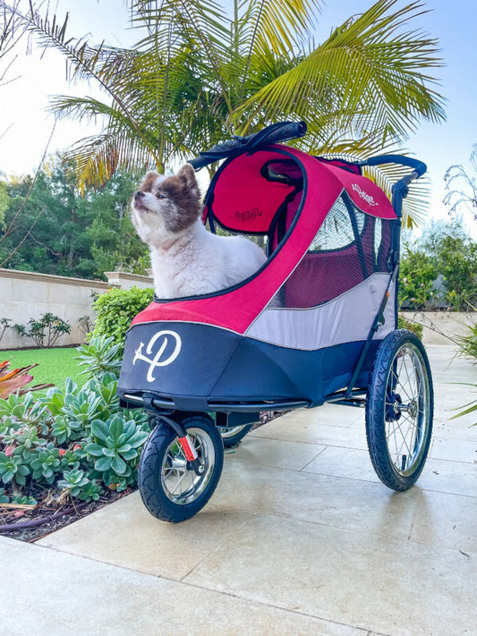 Adventure Awaits - Trailblazer Pet Jogger