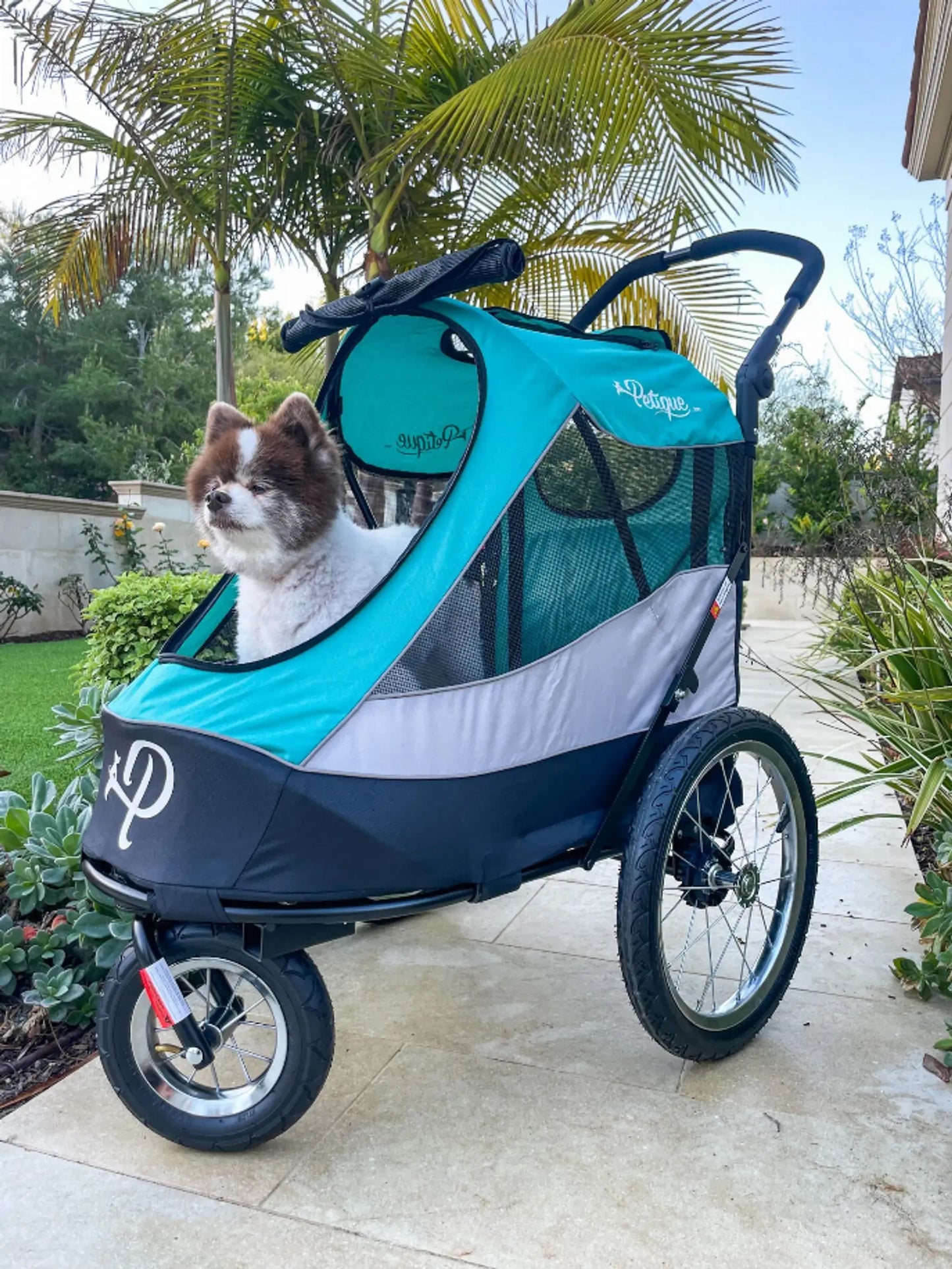 Adventure Awaits - Trailblazer Pet Jogger