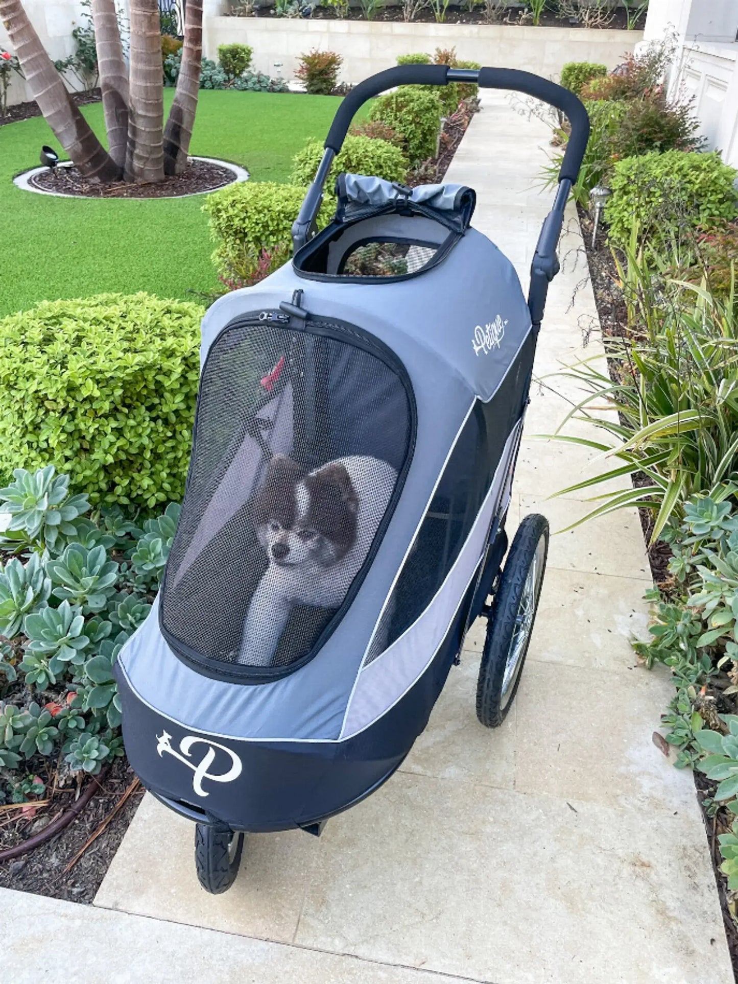 Adventure Awaits - Trailblazer Pet Jogger
