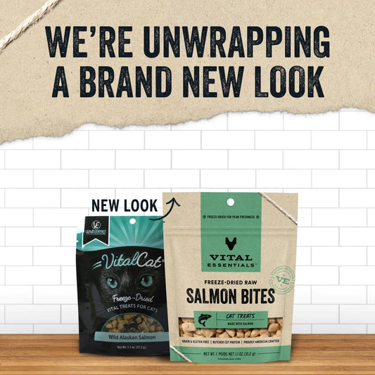 Vital Essentials Freeze-Dried Salmon Bites - Premium Cat Treats (1.1oz)