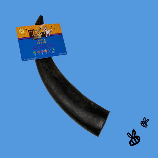 Honey I'm Home Large Buffalo Horn Dog Chews - Honey Coated Bulk (10 Count)