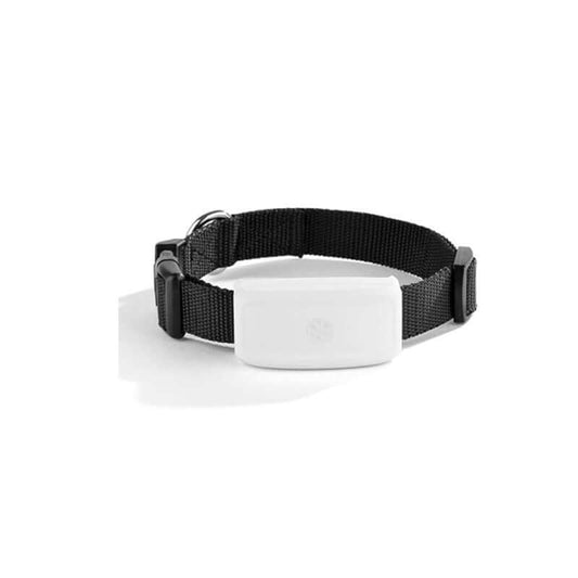 Advanced Pet GPS Tracker - Real-Time Location Monitoring with Waterproof Design