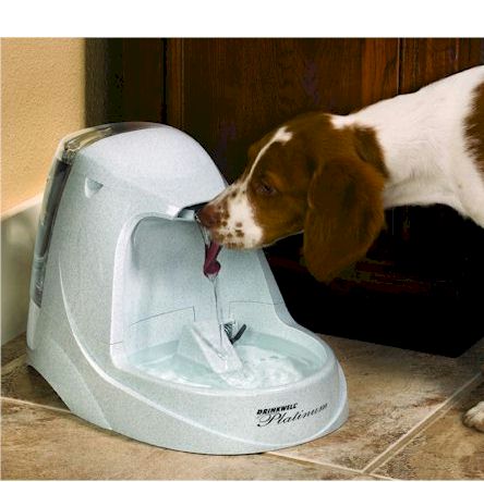 Drinkwell Platinum Pet Fountain - Premium Quality