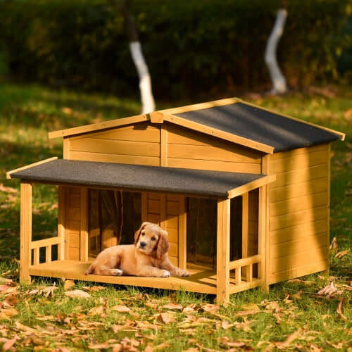 Large wooden dog house with porch in outdoor setting, featuring a black and white dog in front.
