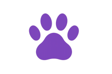 background shape